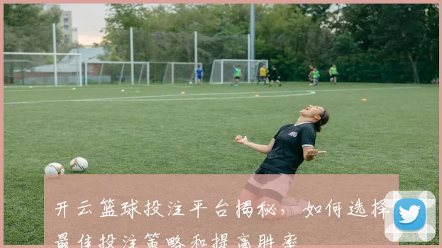 开云篮球投注平台揭秘，如何选择最佳投注策略和提高胜率