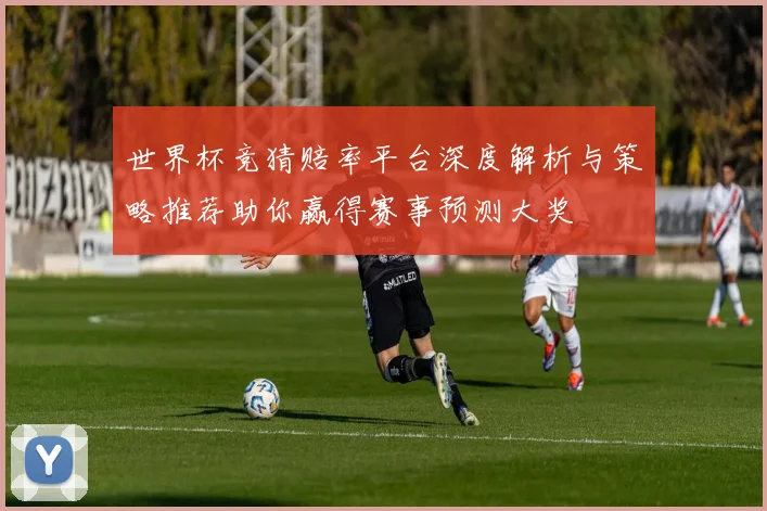 世界杯竞猜赔率平台深度解析与策略推荐助你赢得赛事预测大奖