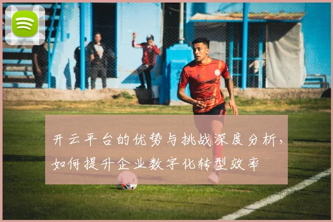 开云平台的优势与挑战深度分析，如何提升企业数字化转型效率