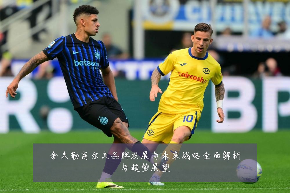 舍夫勒高尔夫品牌发展与未来战略全面解析与趋势展望